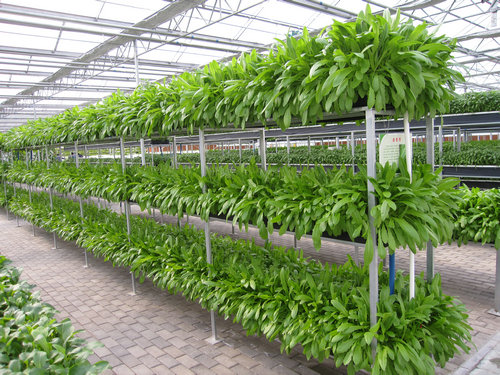 长沙屋顶菜园
