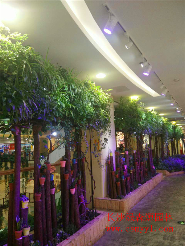 湖南植物墙