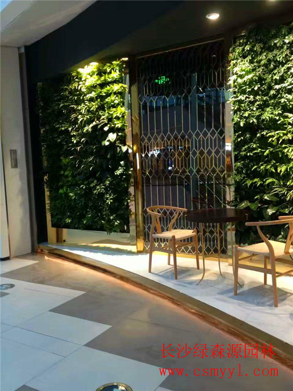 长沙植物墙
