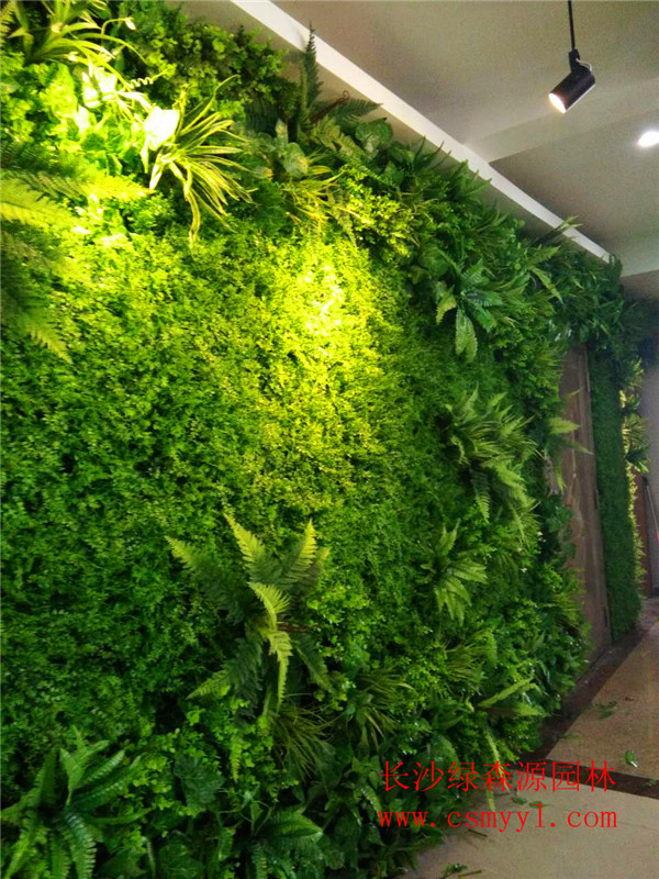 湖南仿真植物墙