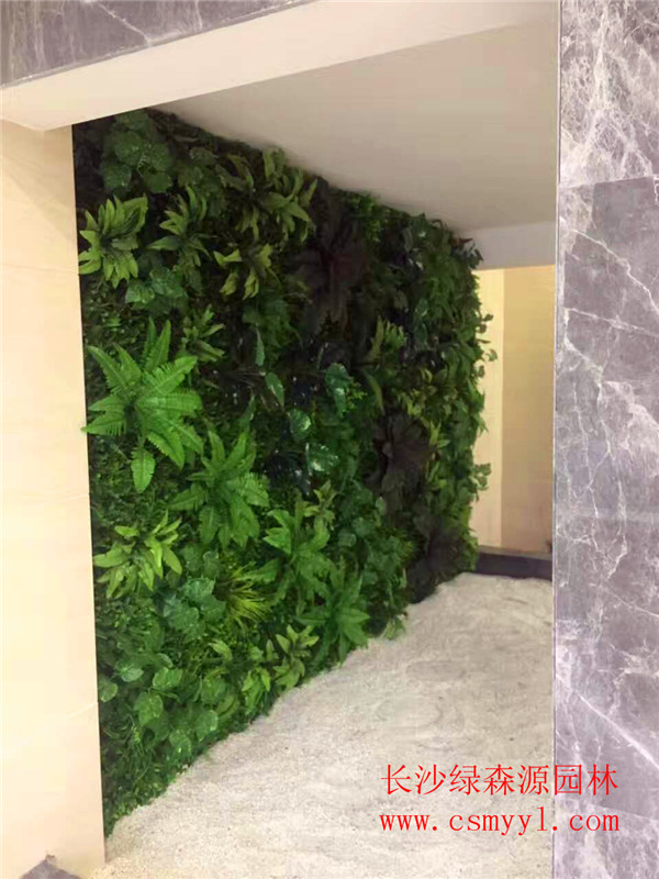 湖南仿真植物墙