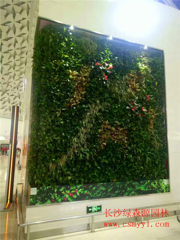 湖南仿真植物墙