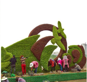 广场绿雕造型现场安装