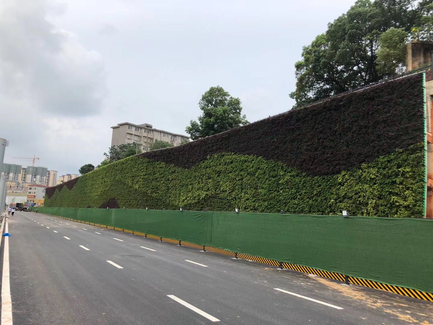 生态植物墙