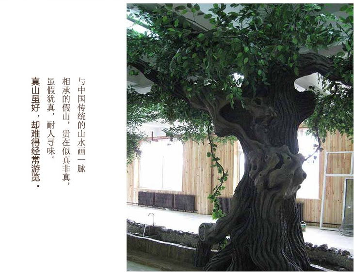 榕树