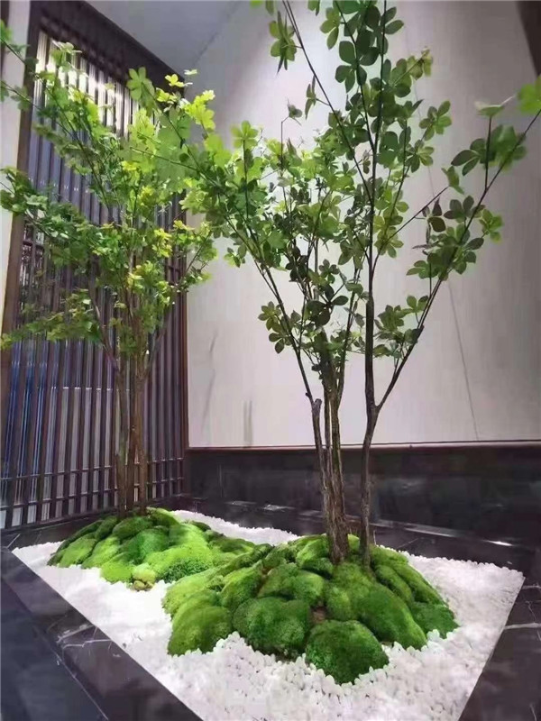 仿真琴叶榕微景观