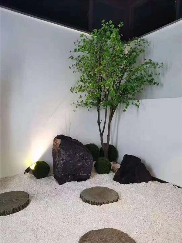 办公室植物造景