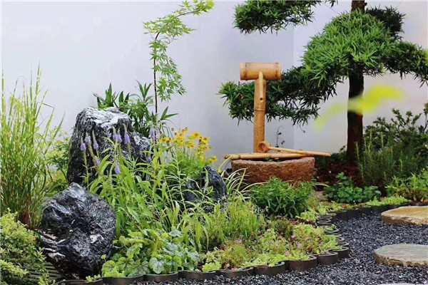 室外植物花境