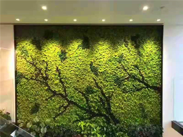 造型苔藓墙