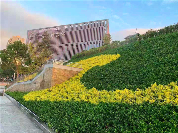 护坡仿真植物墙
