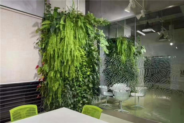 会议室植物墙