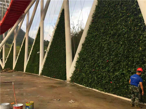 会展中心植物墙