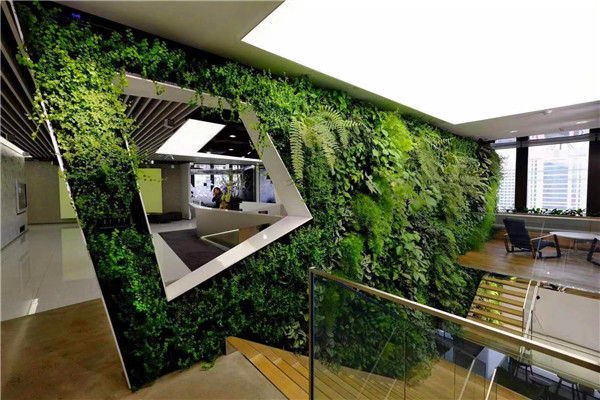 建筑设计中心植物墙