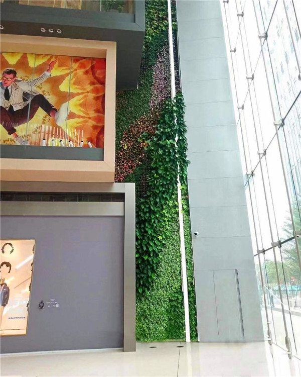 写字楼大堂植物墙