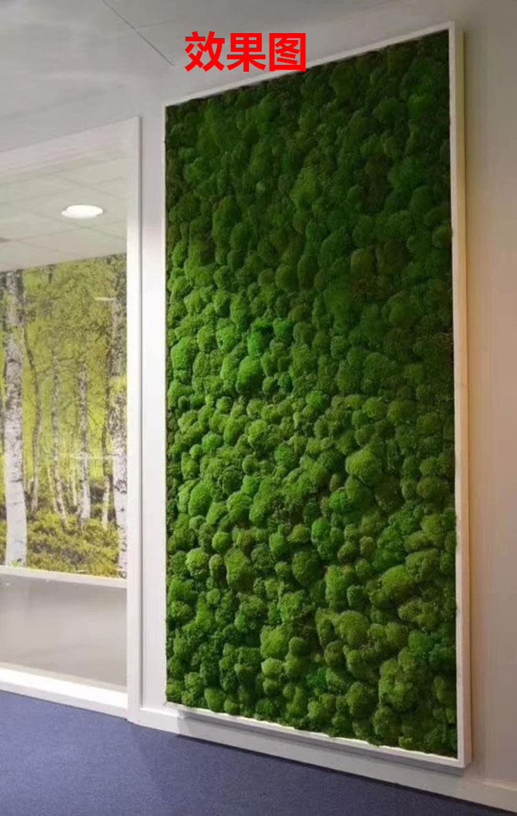 永生苔藓植物墙画框