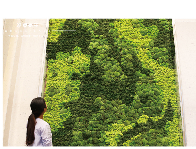 永生苔藓植物墙