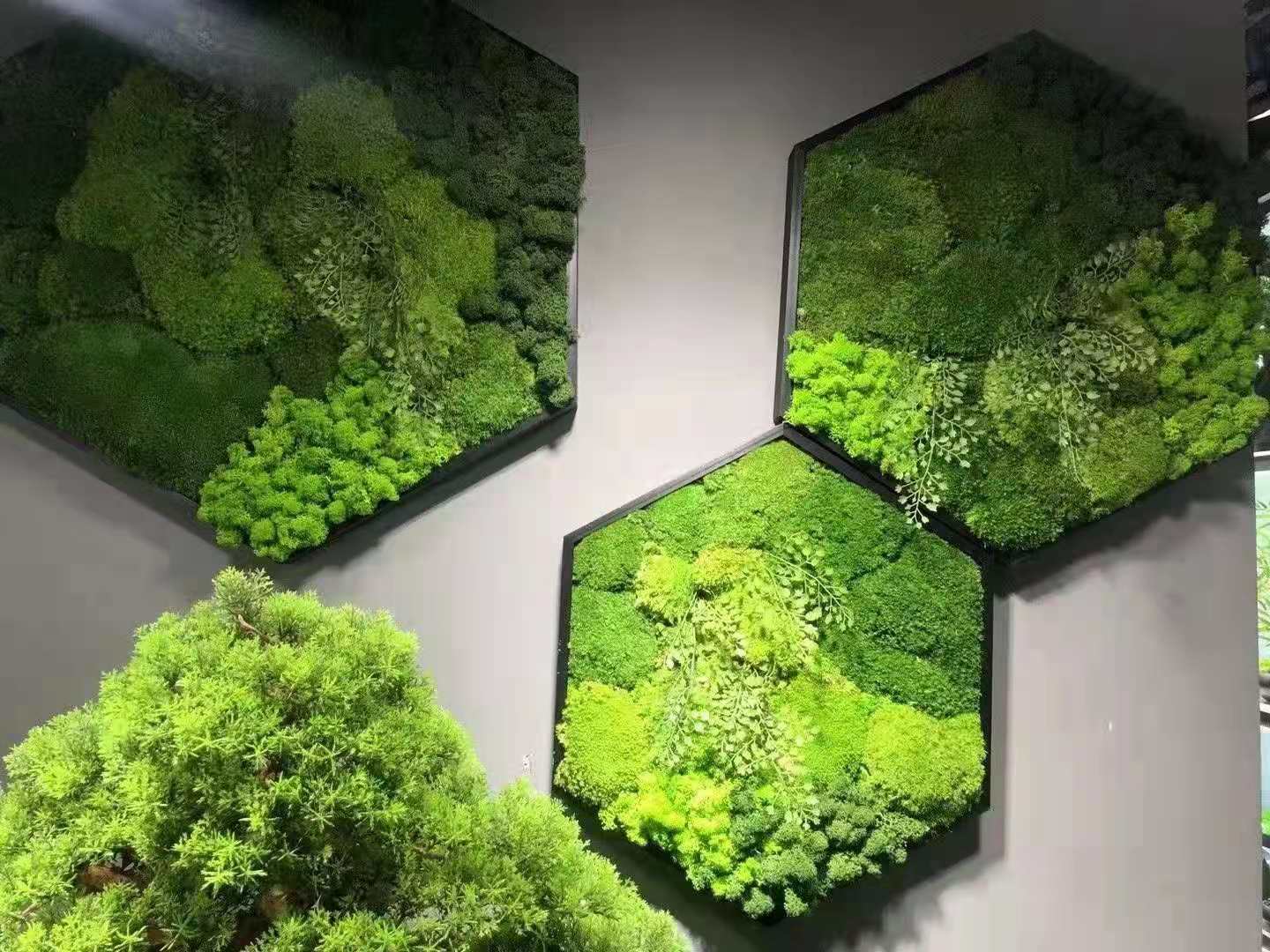 永生苔藓相框