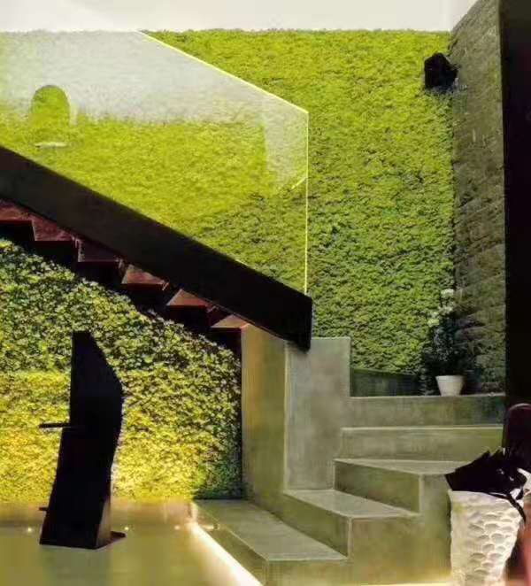 永生苔藓植物墙