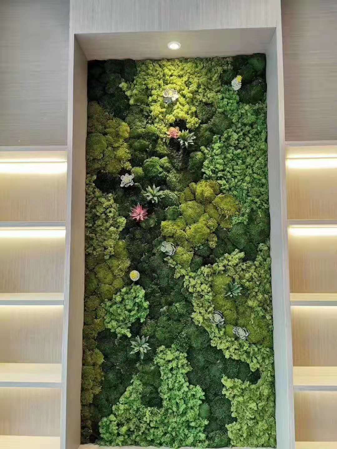 永生苔藓形象墙
