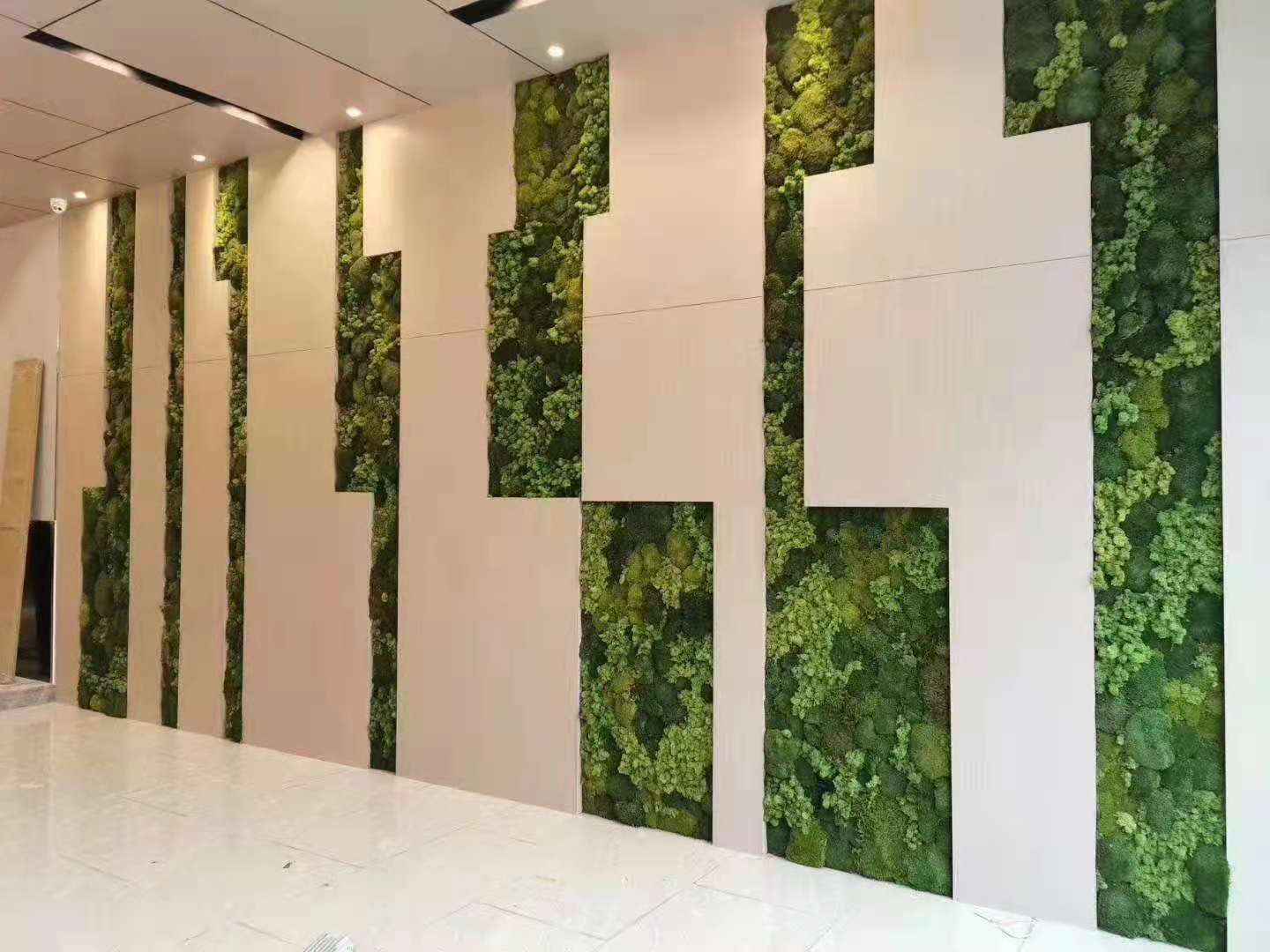 办公空间永生苔藓墙
