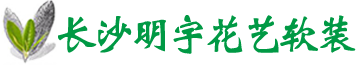 长沙明宇花艺软装有限公司