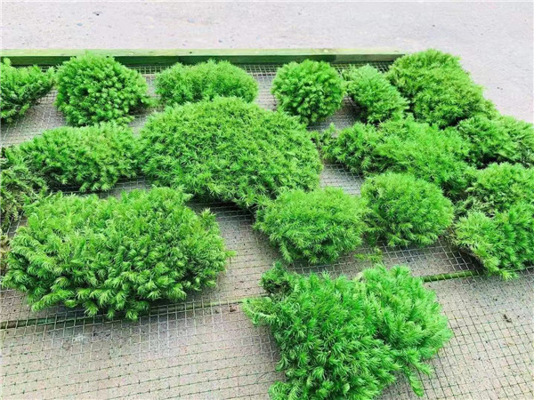 微信图片_20210520230633.jpg