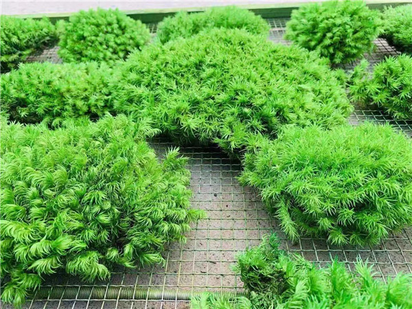 微信图片_20210520230641.jpg